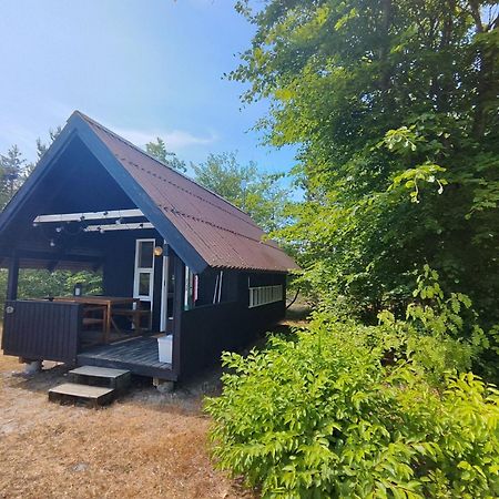 Tranum Klit Camping Og Hytteudlejning Brovst Екстериор снимка